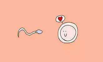 国内优质辅助生殖机构评估指南