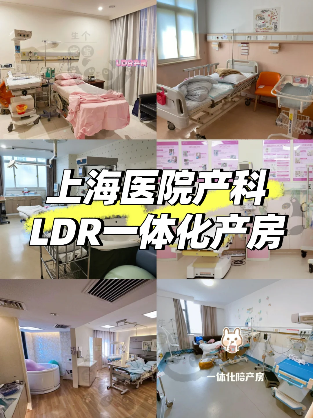 LDR一体化产房信息大揭秘:探索家庭化分娩新体验